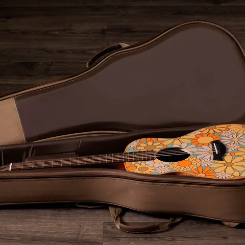 新同品　Taylor GS mini テイラー Taylor-GS Mini e Special